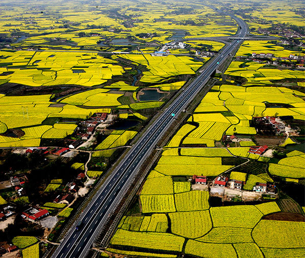循香识味赏景尝鲜｜带你体验“活色生鲜”的江*风汉**情