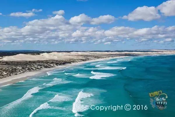 金枪鱼一般吃什么,金枪鱼要怎么吃才好吃