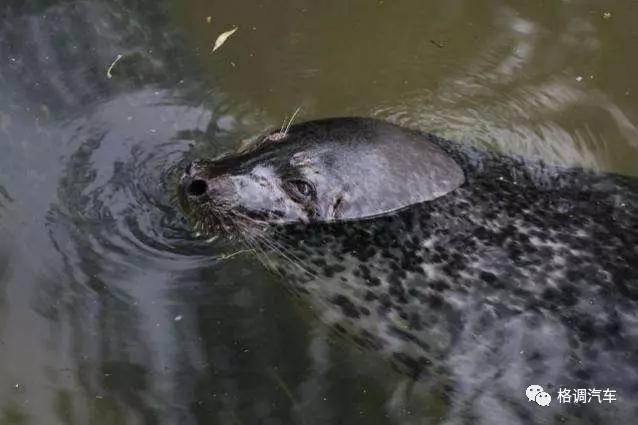 毕业青岛旅游攻略,青岛毕业旅行三日游