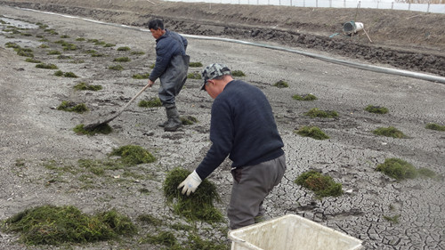为什么有人养殖小龙虾年入几十万，有人却在倒亏钱？大家一定要注意养殖小龙虾的几个关键点！