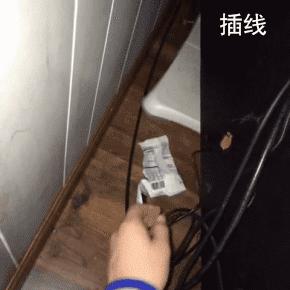 猫奴必备7个养猫绝技,猫奴必备的7个养猫技巧