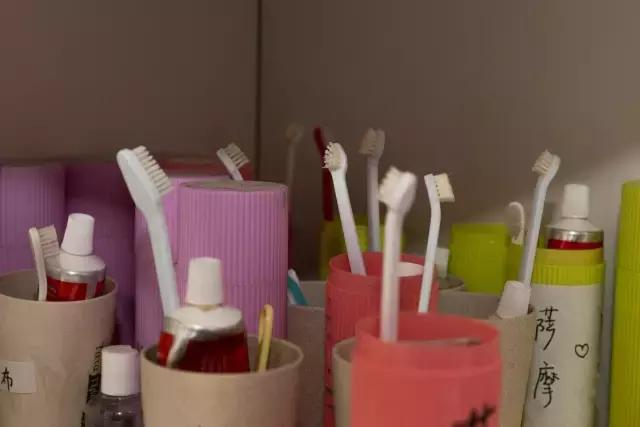 狗生如梦｜ONE实验室