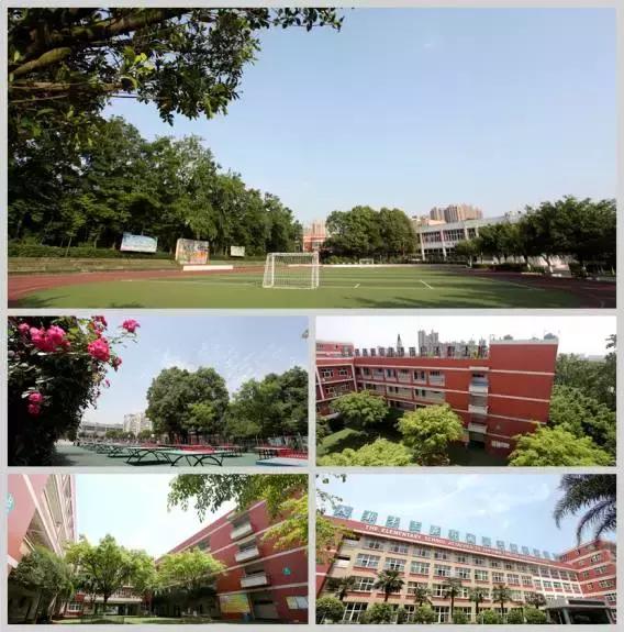 成都负氧离子高的地方,成都森林里最好的学校