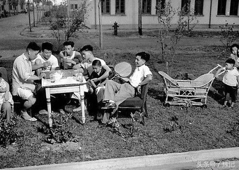 蒲扇老式怎么用,老式蒲扇是什么