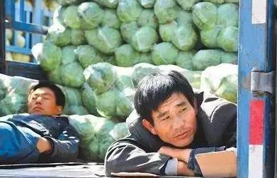 蔬菜批发生意赚不赚钱,蔬菜批发市场卖菜技巧