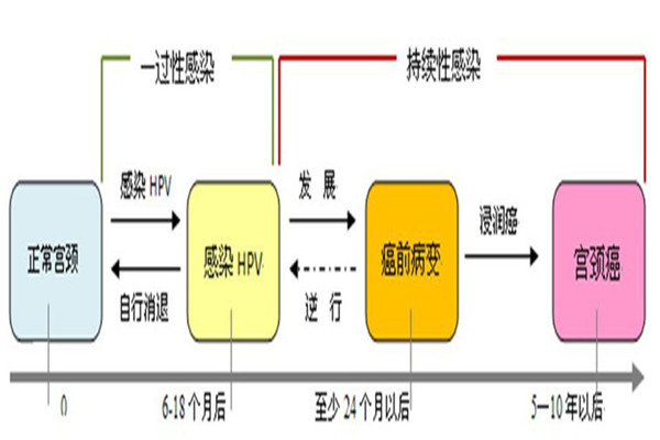 不要混淆了HIV和HPV，HIV更是可恶