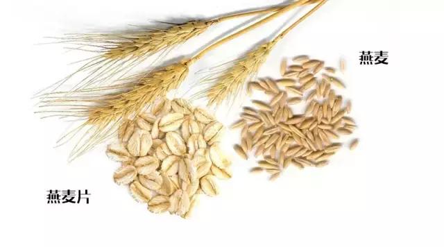 怎样挑选一款好的燕麦,燕麦哪种牌子最好最正宗