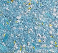 墙衣“三无、*不五**”是什么梗?戳戳看涨姿势……