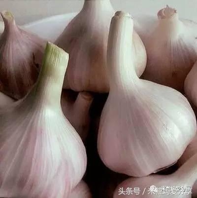 夏季宝宝驱蚊产品推荐,夏季宝宝驱蚊快来学几招