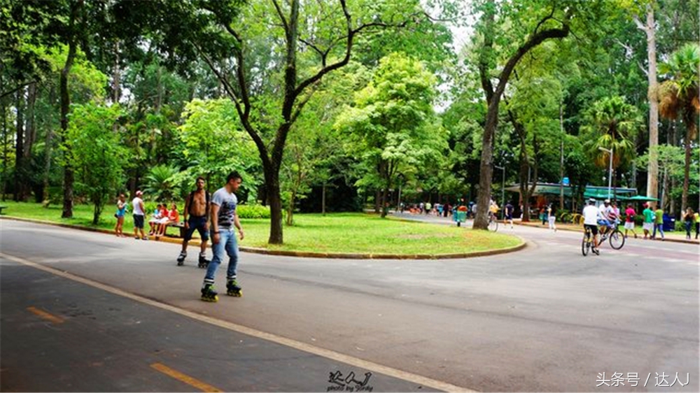 从亚马逊雨林到安纳托,最靠近亚马逊丛林的城市