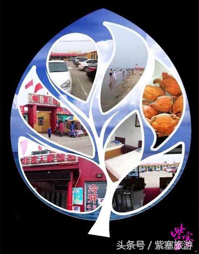 唐山乐亭紫塞明珠农家院,天津蓟县紫塞农家院