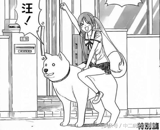 《笨女孩》被一个笨蛋带坏的小镇,唯独这条狗全面过人