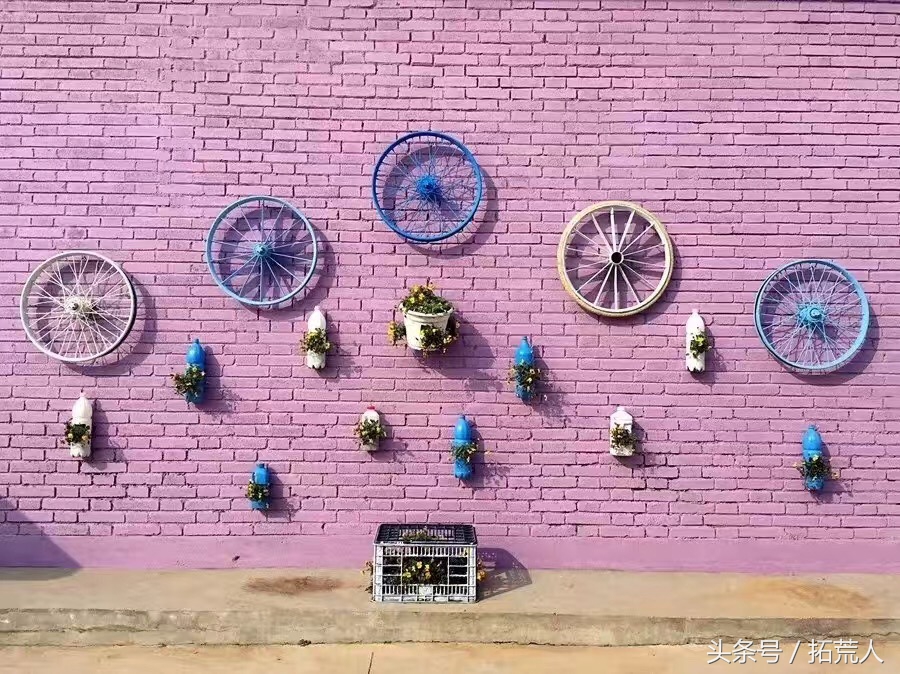 创意农场推荐,有特色创意的农场