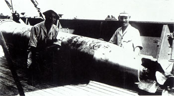 曾经侵略中国，六次远征南极：日本“奇迹之船”的精彩一生