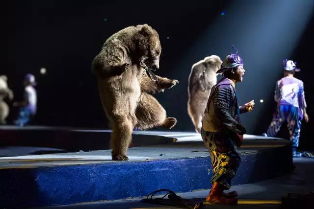 长隆攻略广州长隆欢乐世界攻略,广州长隆最全游玩攻略及费用