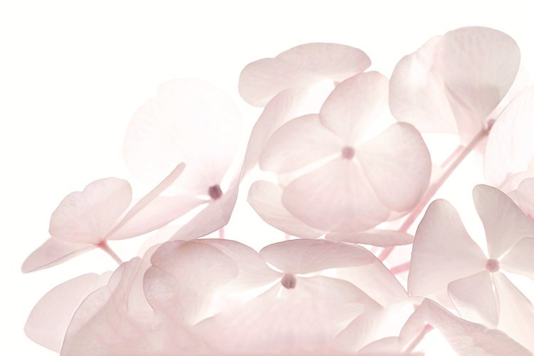 纯天然就是安全的吗,纯天然的就是最好的这句话对吗