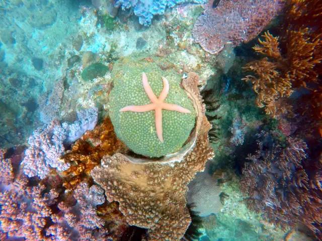 三亚潜水攻略大全,三亚怎么才能自由潜水