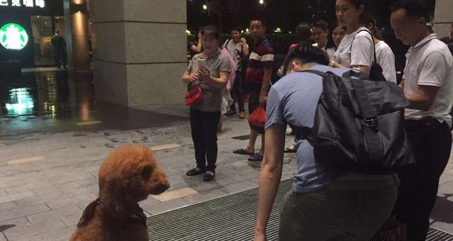 这么大的泰迪输出肯定不比人差,难怪这么多女的喜欢