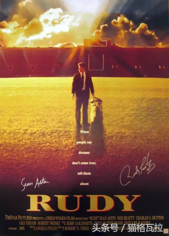 跟摔跤吧爸爸一样的电影励志,印度电影摔跤吧爸爸国语线上观看