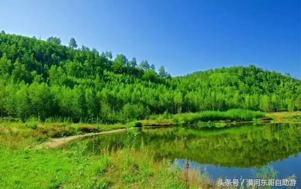 漠河市旅游包车攻略,漠河旅游包车哪里最便宜