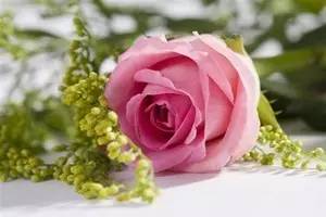 十大必买口红色号秋冬系列,今年最流行的两款口红颜色