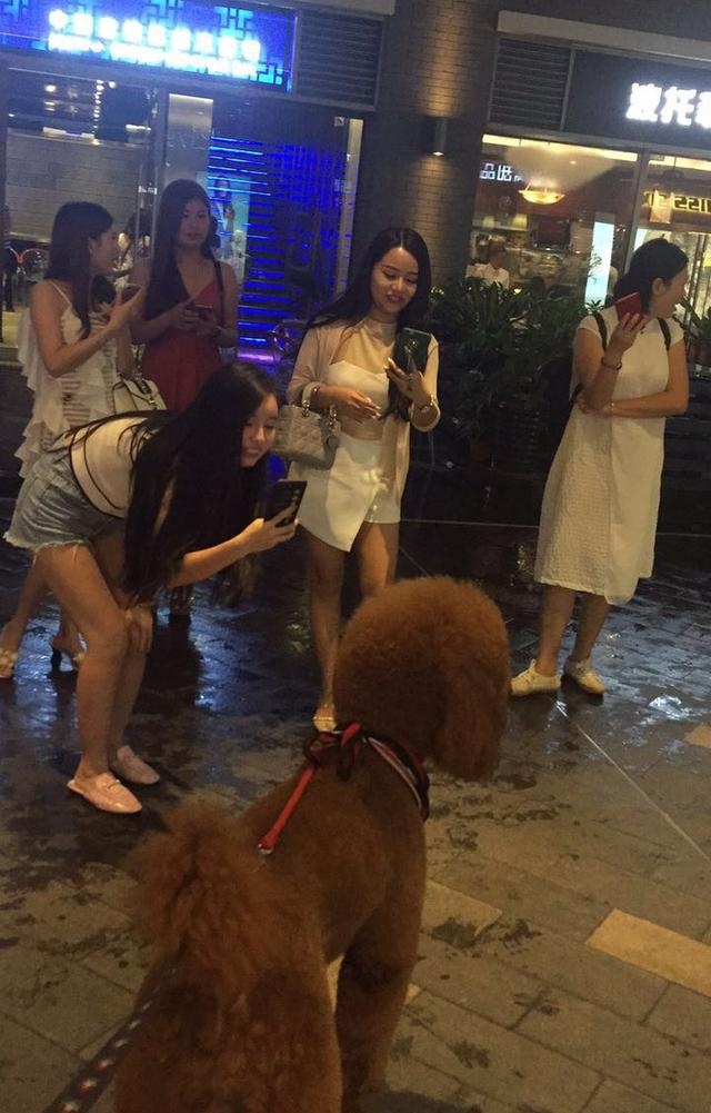 这么大的泰迪输出肯定不比人差,难怪这么多女的喜欢