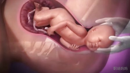 自然分娩要经历的过程动画,自然分娩过程大揭秘