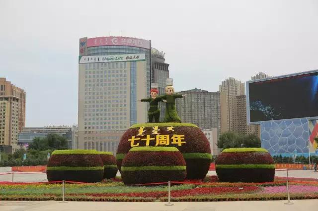 醉美西城｜“城在绿中人在景中”探访绿荫之下的回民区