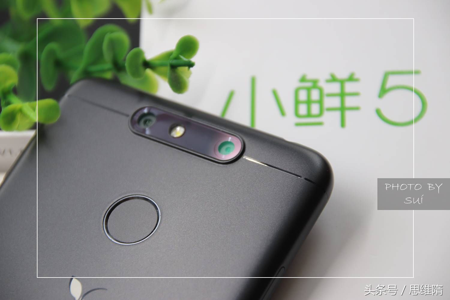 中兴小鲜5配置大曝光,中兴小鲜5测评