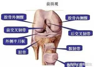 北京大学第一医院张道俭,讲解“走路不疼,上下楼疼”是肿么回事?