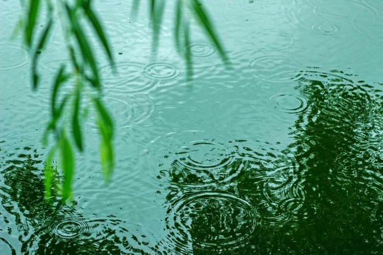 发现一个世外桃源的地方真美,有一处叫世外桃源的地方