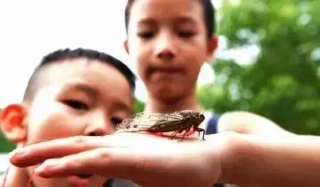 那年那月那日韩语,那年那月那日朗诵合拍