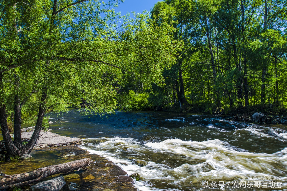 呼伦贝尔漠河旅游攻略夏季,呼伦贝尔漠河环线自由行