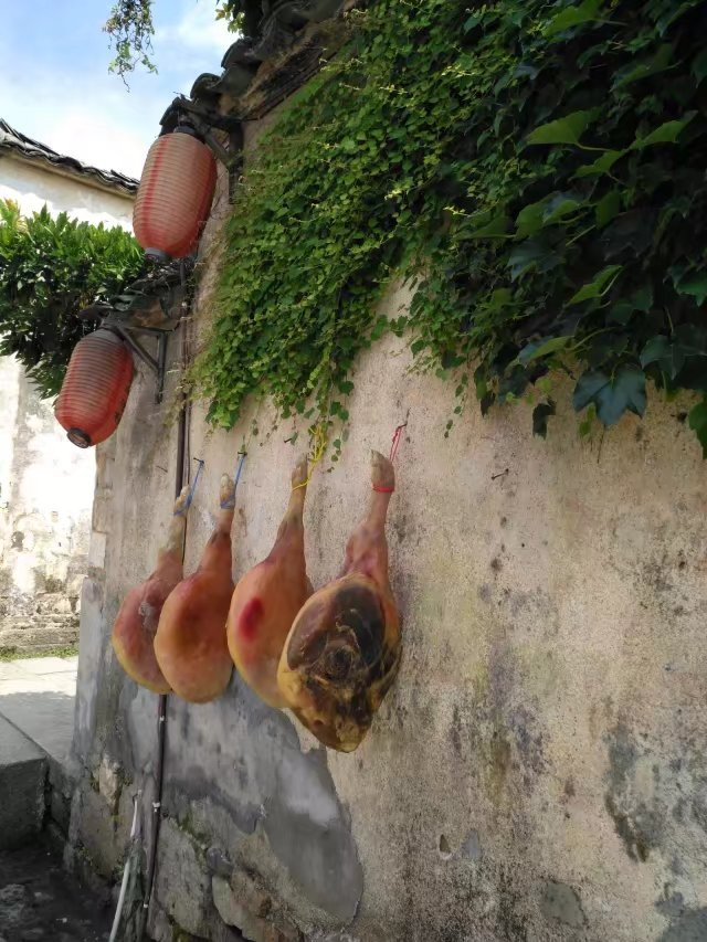 一家三口黄山旅游攻略,带家人去黄山