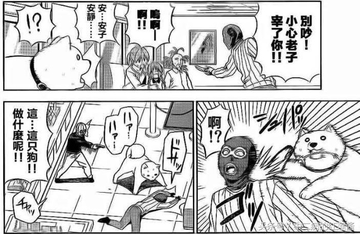 《笨女孩》被一个笨蛋带坏的小镇,唯独这条狗全面过人