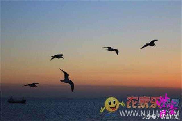 京津冀农家院详细攻略,紫塞大钦岛伟浩渔家乐