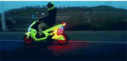 科学认识狂犬病别盲目害怕,最权威的狂犬病科普知识