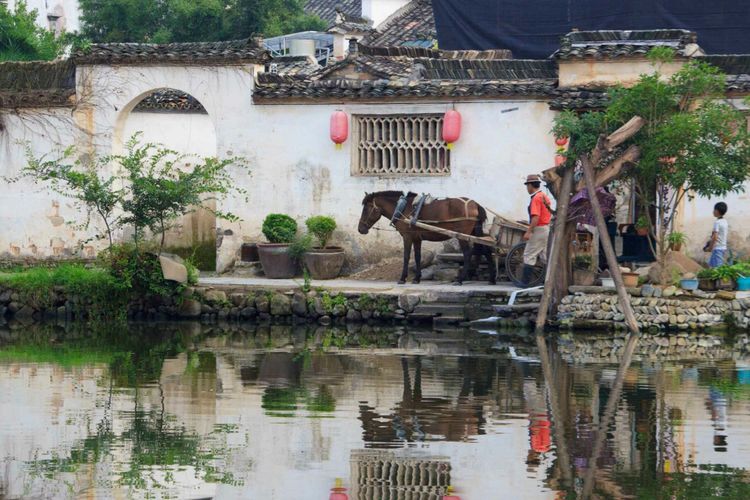 发现一个世外桃源的地方真美,有一处叫世外桃源的地方