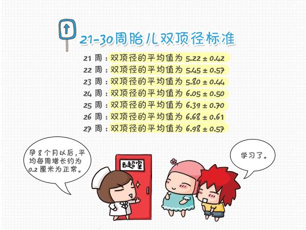 如何看胎儿双顶径,怎么看胎儿头围腹围股骨长