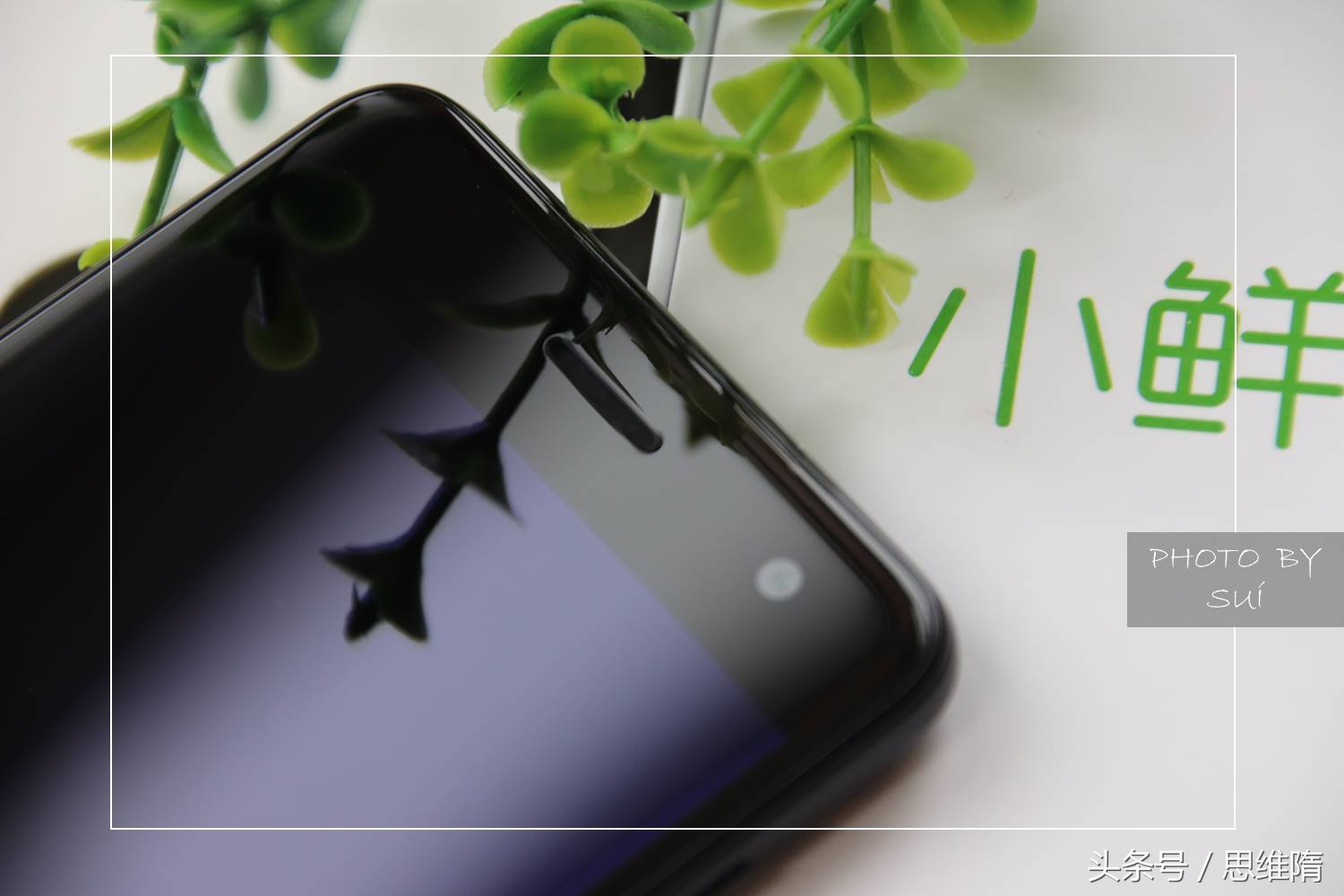 中兴小鲜5配置大曝光,中兴小鲜5测评