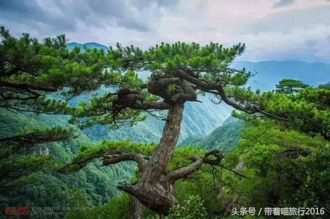 探访龙泉古村,龙泉古镇的美景