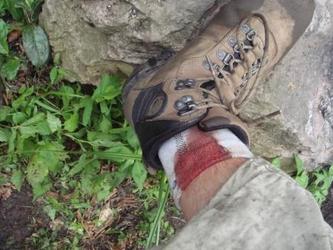 毒虫记,昆虫记毒蜘蛛阅读笔记