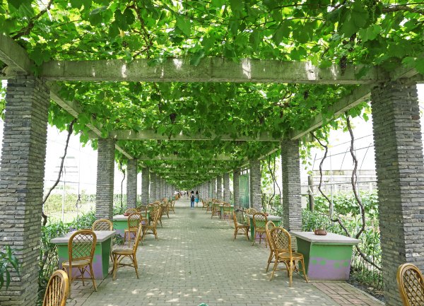 浙江嘉善大云旅游,嘉善大云周末玩的地方推荐