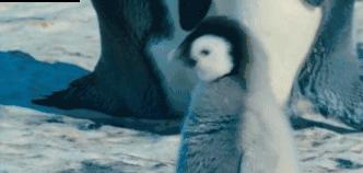 真假品牌店的识别,真假混卖