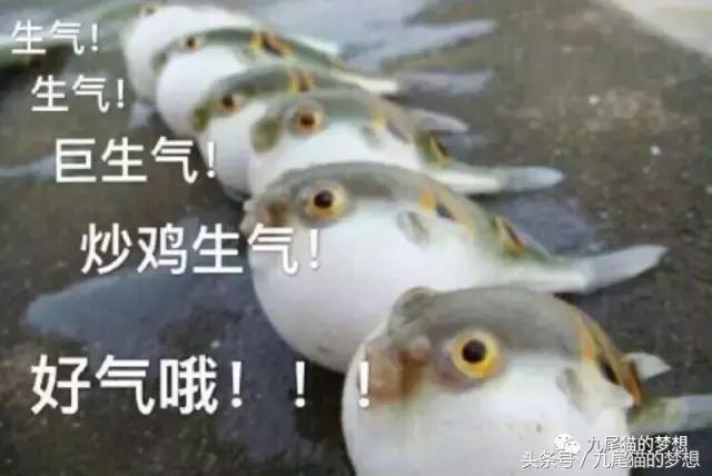 渣男味、发廊味、女老师洗澡后的味道,直男在香水面前简直疯了