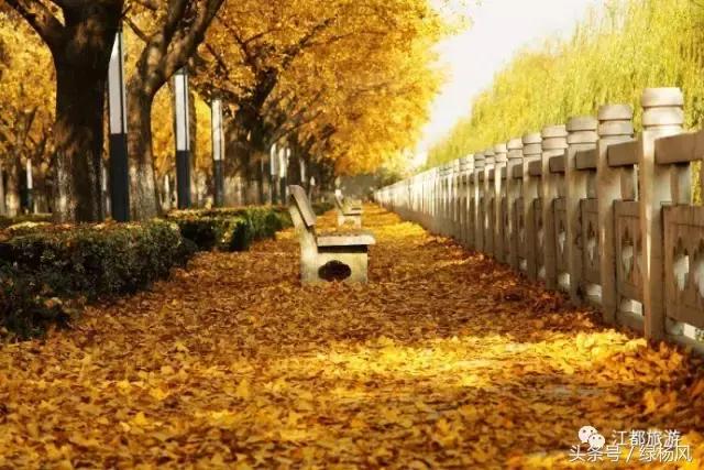 来扬州必买饰品,来扬州别错过的打卡地