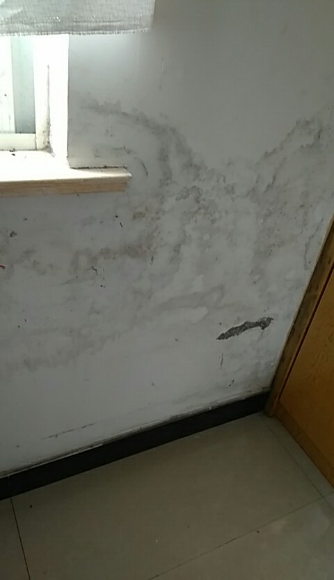 墙体发霉返潮的原因,墙体发霉返碱涂刷