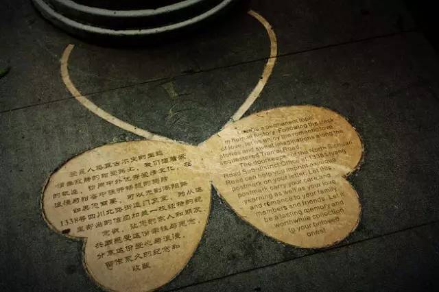 老夫妻上海一日游,上海老夫妻旅游路线攻略