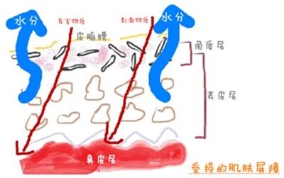 luna洗脸仪真的洗得干净吗,luna洁面仪起了小黑点怎么清洁