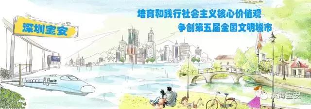 松岗体育馆,松岗体育馆在哪个位置